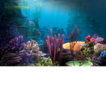 #OMG pandas under the sea