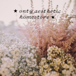 Onty aesthetic Homestore