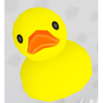 ~~ ducky fan group ~~
