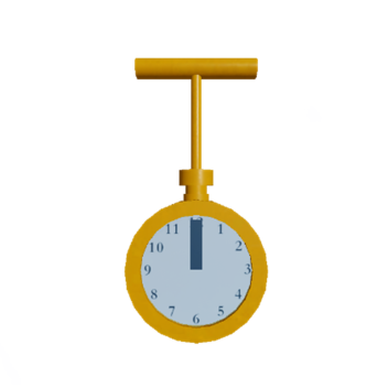 The Golden Watch