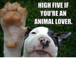 The Army of People that love animals! :D