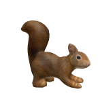 Squirrel on head