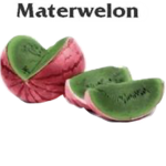 Melon Regiment