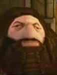 The Sleepwoken