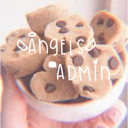 angels admin