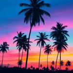 ~>Sunset Studios<~
