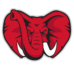 Gainesville Red Elephants | City Park Stadium