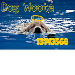 Dog Woota