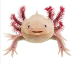 Epic Axolotl Team