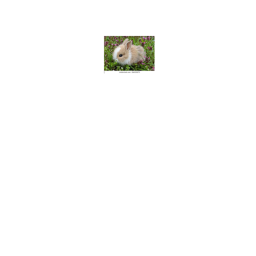 :>