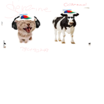 moo meow meow gang!