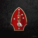 USMC 2nd Marine Division USA