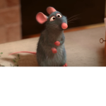 Rat cult obviously