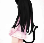 SillyKittens'