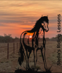 ~|Stella's Riding Lessons|~