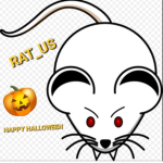 Rat_us