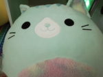 Kitty g.p.