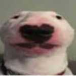 TOAST DE RAPTOR'S ROBLOX FAN GROUP!!!