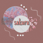 ~ Sakura ~