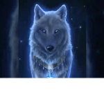 The official wolfGamingPlayz Club