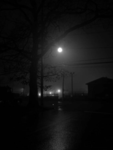 Moonlight on the River.