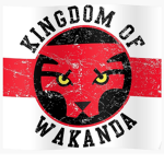 The Wakandan Kingdom