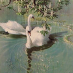 Swan lake