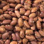 [BEAN] Special Forces