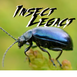 The Insect Legacy [Duelist Academia]