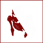 “GASHADOKURO”