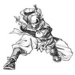 Krazy Ninja