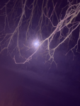 nightfog