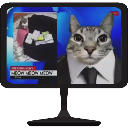 Breaking News!🗞️🚨The Sleeping Cat🐈💤 Roblox item