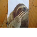 sloth slaves