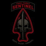Task Force Sentinel “TFS”
