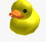 The ducky team :)