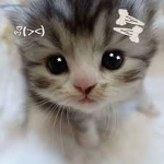 hello :l