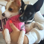 Phoebe and barb