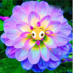 Blooming Flowerrs