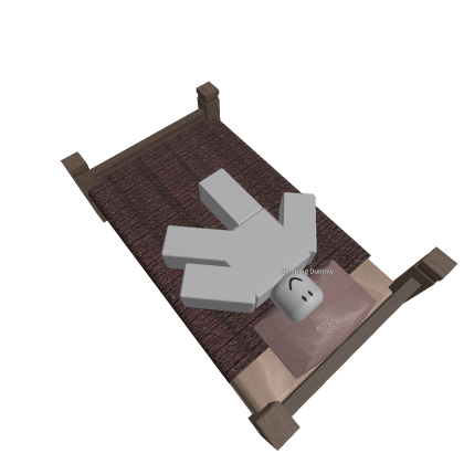 Sleeping Dummy