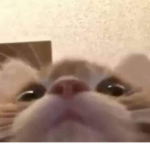 HELLO IM IDK