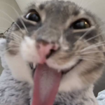 SiberianGames