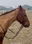 {<*sunset equestrian riders*>}