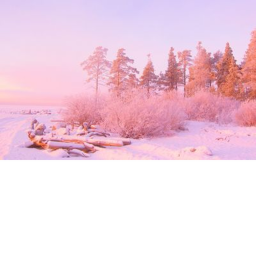 winter roleplay game