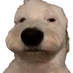 - DogWatr’s Classic Clothing Community -