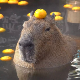 Survival from capybara