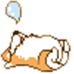 DragonCorgi