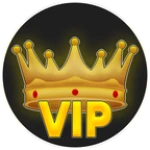 VIP Rank