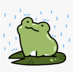 Froggy’s frog club