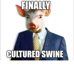 Swine Milkers fan club